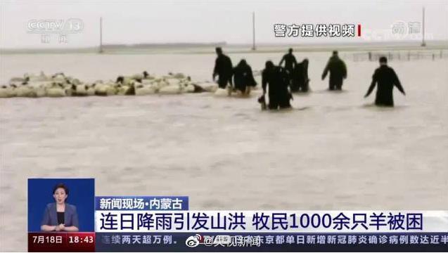 山洪致1000多只羊被困民 警蹚水救援