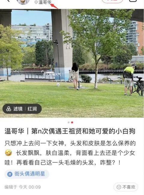 网友在温哥华偶遇54岁王祖贤遛狗 赞其肤白貌美似少女