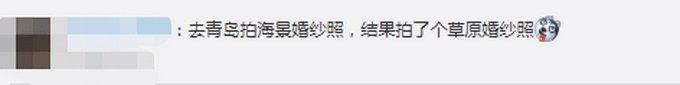 大海快成草原了！青岛浒苔创历史最大值，专家：可能会长期存在于近海